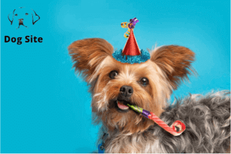 Celebrate With Your Furry Family Members