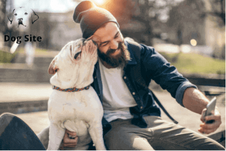 Can Dogs Recognize Their Owners Just By Voice ?