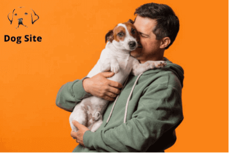 What is the penalty for dog kidnapping ?