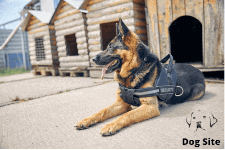 It’s Time To Ban Police Dogs