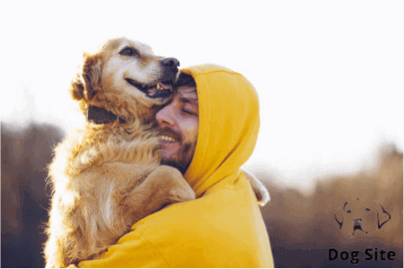 Family Reunited with it’s Dog