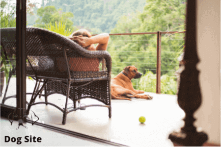 What are The Best Pet-Friendly Hotels in the World ?