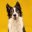 Site icon