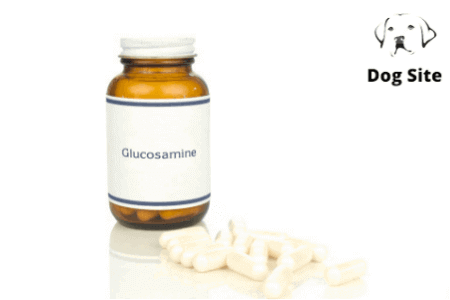 Why your dog needs glucosamine ?
