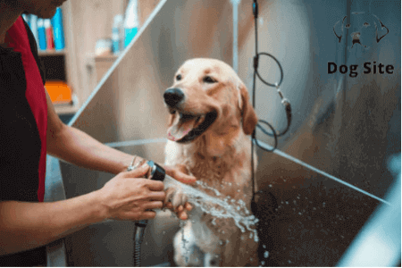 Is it OK to bathe a dog once a week?