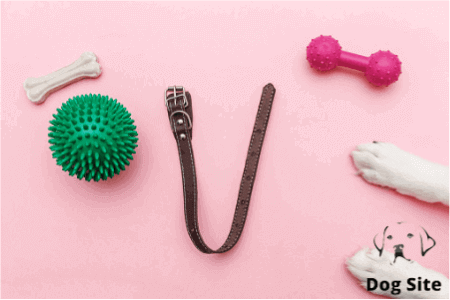 Are there Accessories made to pet owners’ specifications ?