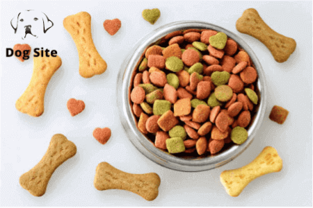What is the fastest way for a dog to lose weight?